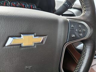 2019 Chevrolet Suburban 4WD 4dr 1500 Premier - Photo #20