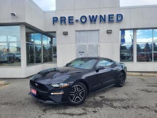 Used 2021 Ford Mustang EcoBoost for sale in Niagara Falls, ON