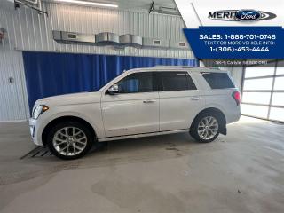 Used 2019 Ford Expedition Platinum for sale in Carlyle, SK