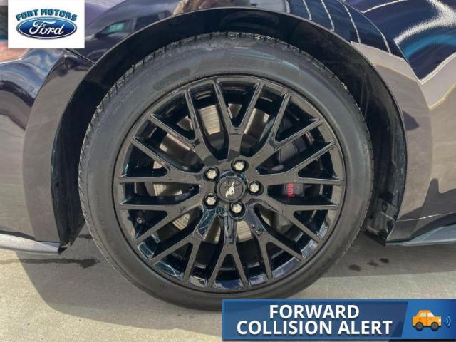 2022 Ford Mustang GT  - Aluminum Wheels -  LED Lights Photo3