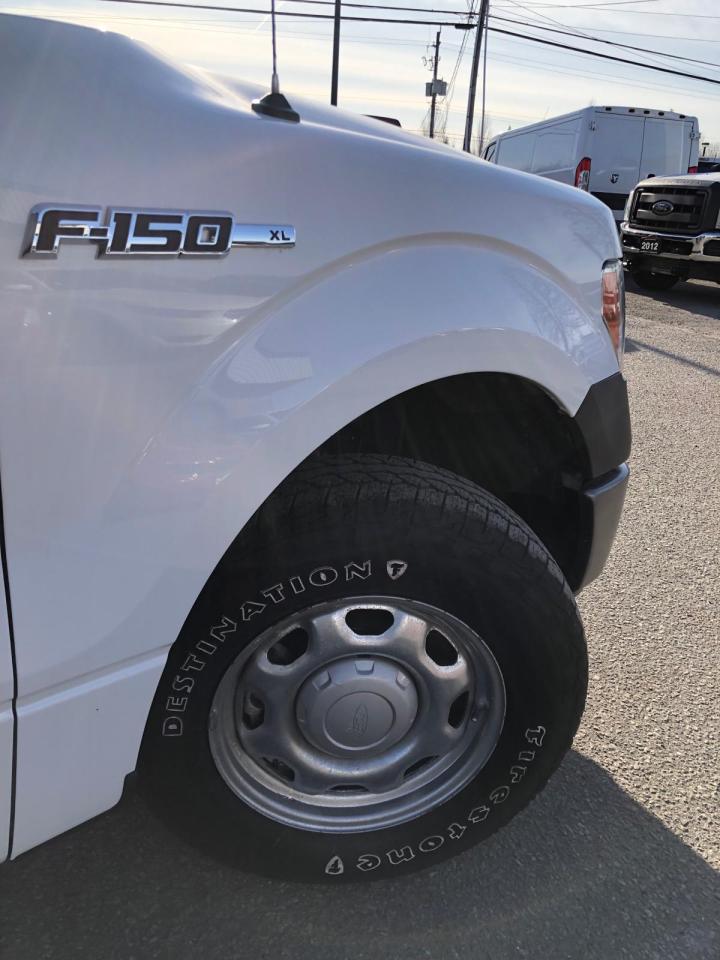 2014 Ford F-150 XL - Photo #8