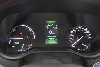 2021 Toyota Sienna XSE 7-Passenger AWD DVD - Photo #12