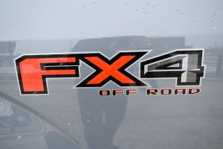 2019 Ford F-150 XLT - FX4 Off-Road Pkg - 5.0L - Photo #12