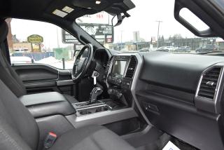 2019 Ford F-150 XLT - FX4 Off-Road Pkg - 5.0L - Photo #23