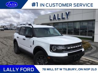 New 2024 Ford Bronco Sport BIG BEND for sale in Tilbury, ON