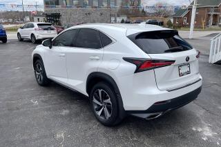 2019 Lexus NX NX 300 AWD **Loaded** - Photo #4