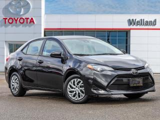 Used 2019 Toyota Corolla CE for sale in Welland, ON
