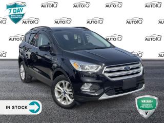 Used 2019 Ford Escape SEL for sale in Hamilton, ON