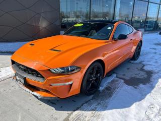 Used 2021 Ford Mustang EcoBoost for sale in Winnipeg, MB