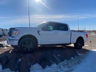 New 2023 Ford F-150 XLT 4WD SuperCrew 6.5' Box 302A for sale in Elie, MB