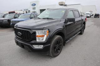 <p>000KMS!!! This 2022 Ford F-150 XL comes equipped with: 

--> Reverse Sensing System 
--> Tailgate Step 
--> Removeable with Lock Tailgate 
--> Trailer Sway Control 
--> Tow Hooks 
--> Trailer Sway Control 
--> Black Appearance Package 
--> Trailer Tow Package & so much more!! 

To enjoy the full Petrie Ford experience</p>
<a href=http://www.petrieford.com/used/Ford-F150-2022-id10588610.html>http://www.petrieford.com/used/Ford-F150-2022-id10588610.html</a>