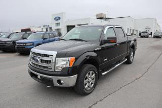 Used 2013 Ford F-150 XLT for sale in Kingston, ON