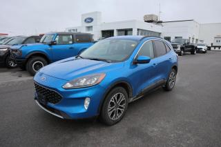 Used 2020 Ford Escape SEL for sale in Kingston, ON