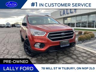 The 2019 Ford Escape SE offers versatility with its All-Wheel Drive (AWD) capability, ensuring stability and control in various road conditions. Equipped with navigation, it seamlessly guides drivers to their destinations. This particular model boasts the added value of being a local trade-in, potentially indicating well-maintained service history and familiarity with regional driving conditions. With its blend of practicality, technology, and reliability, the 2019 Ford Escape SE presents an enticing option for those seeking a capable compact SUV.