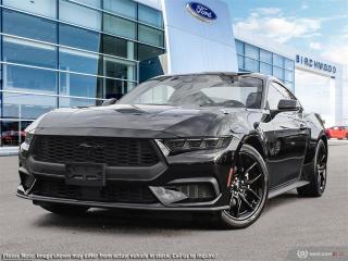 New 2024 Ford Mustang EcoBoost Premium 201A | Navigation | B&O Sound System for sale in Winnipeg, MB