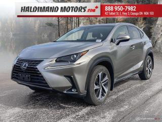 Used 2019 Lexus NX NX 300h for sale in Cayuga, ON