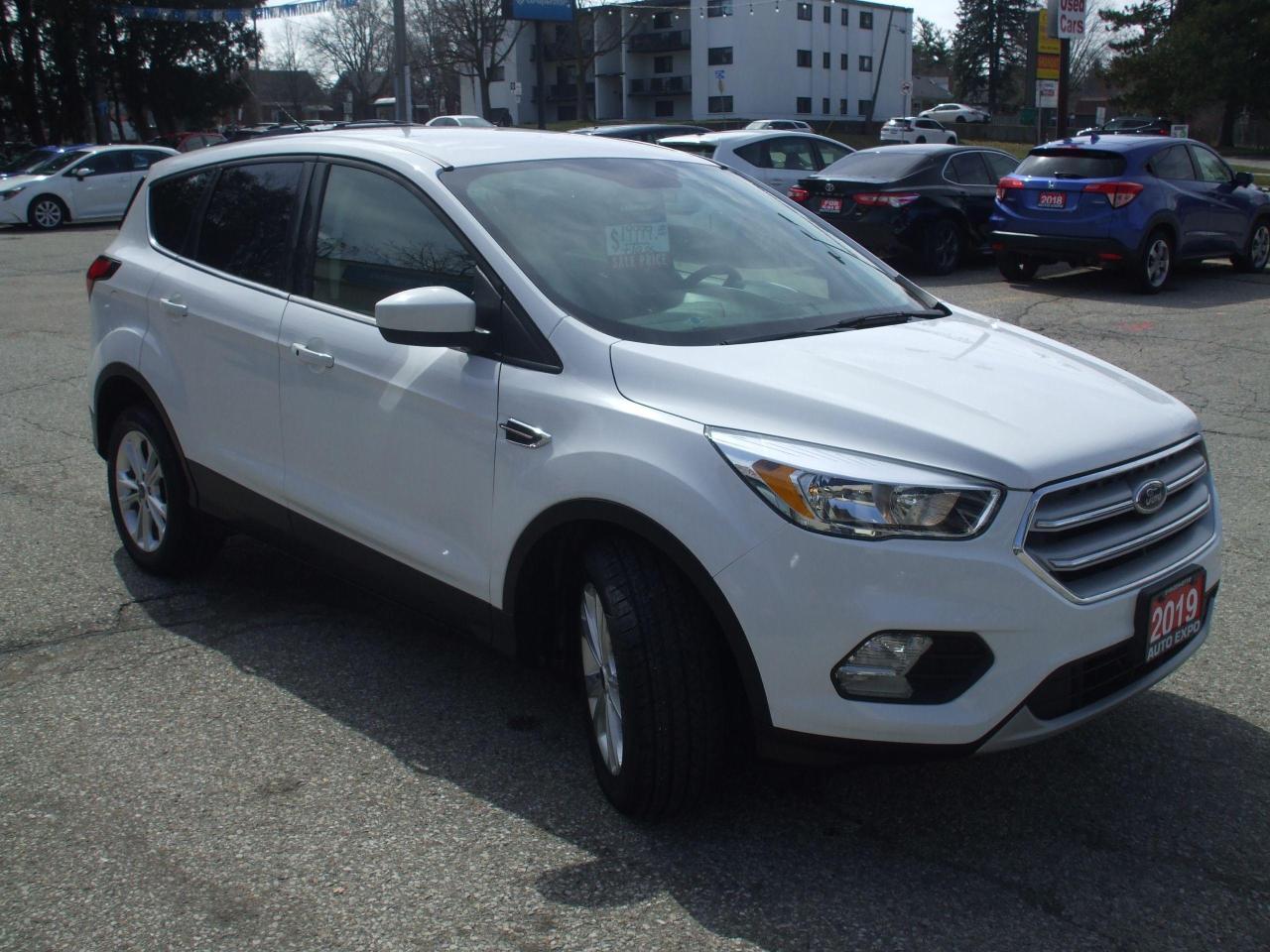 2019 Ford Escape SE,Auto,A/C,Certified,Bluetooth,Backup Camera,Fogs - Photo #7