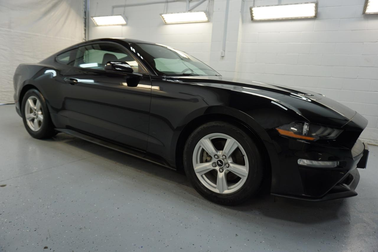 Used 2018 Ford Mustang 2.3L ECO FASTBACK CERTIFIED *ACCIDENT FREE* CAMERA BLUETOOTH ALLOYS for sale in Burlington, ON