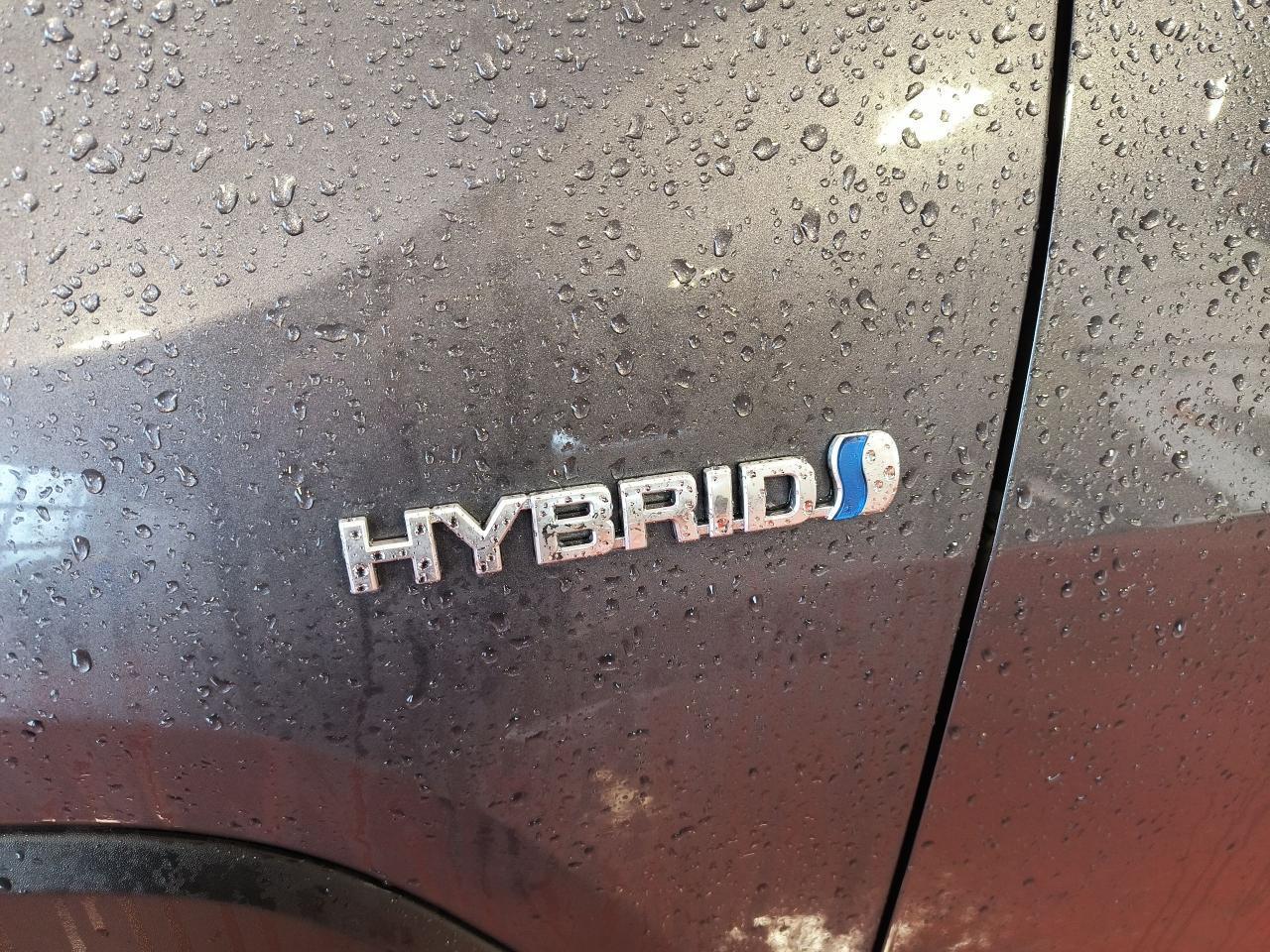 2020 Toyota RAV4 XLE Hybrid AWD Photo