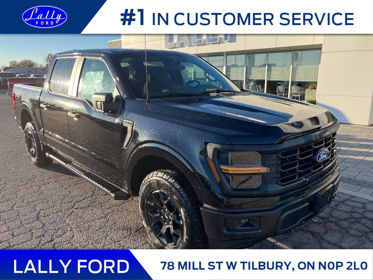 New 2024 Ford F-150 STX for sale in Tilbury, ON