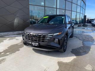 Used 2022 Hyundai Tucson Hybrid Luxury for sale in Winnipeg, MB