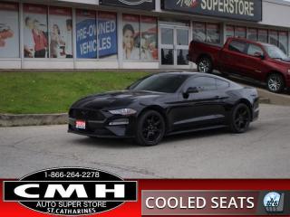 Used 2020 Ford Mustang EcoBoost Premium  -  - Navigation for sale in St. Catharines, ON