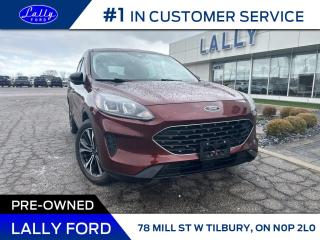 Used 2021 Ford Escape SE, One owner, Local Trade!! for sale in Tilbury, ON