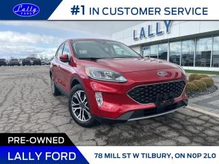 Used 2022 Ford Escape SEL, Only 2,267 kms, Leather, Local Trade! for sale in Tilbury, ON
