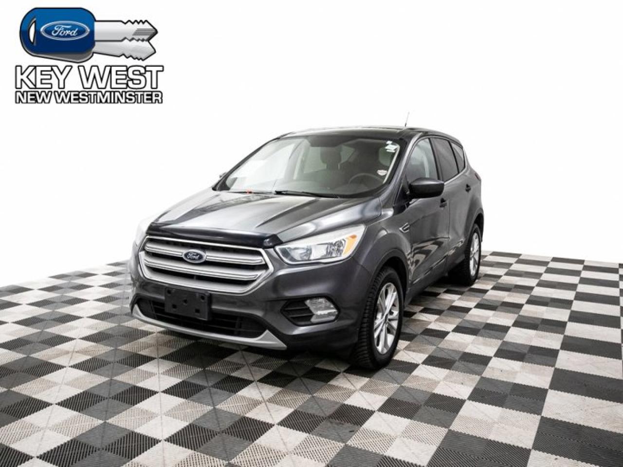 Used 2019 Ford Escape SE 4WD for sale in New Westminster, BC