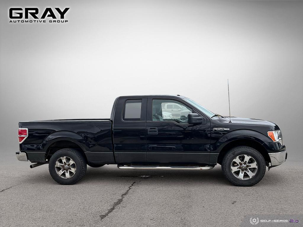 2011 Ford F-150 2WD/NO ACCIDENTS/5.0L/CERTIFIED - Photo #6