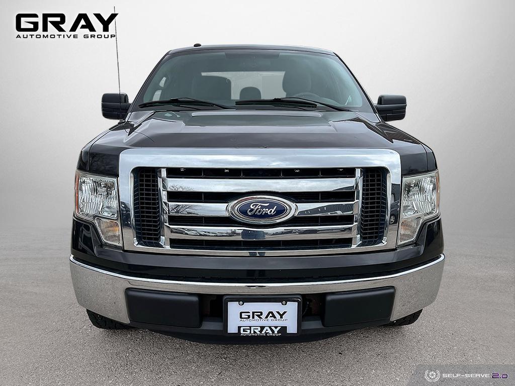 2011 Ford F-150 2WD/NO ACCIDENTS/5.0L/CERTIFIED - Photo #8