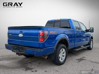 2012 Ford F-150 FX4/CERTIFIED/2 YR UNLIMITED WARRANTY - Photo #5