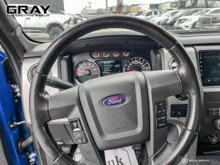 2012 Ford F-150 FX4/CERTIFIED/2 YR UNLIMITED WARRANTY - Photo #10