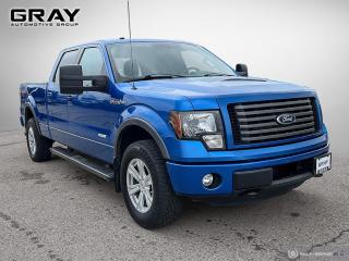 2012 Ford F-150 FX4/CERTIFIED/2 YR UNLIMITED WARRANTY - Photo #7