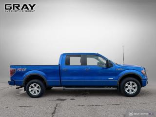 2012 Ford F-150 FX4/CERTIFIED/2 YR UNLIMITED WARRANTY - Photo #6