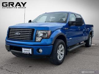 Used 2012 Ford F-150 FX4/CERTIFIED/2 YR UNLIMITED WARRANTY for sale in Burlington, ON
