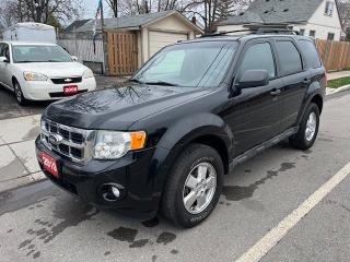Used 2010 Ford Escape XLT for sale in Hamilton, ON