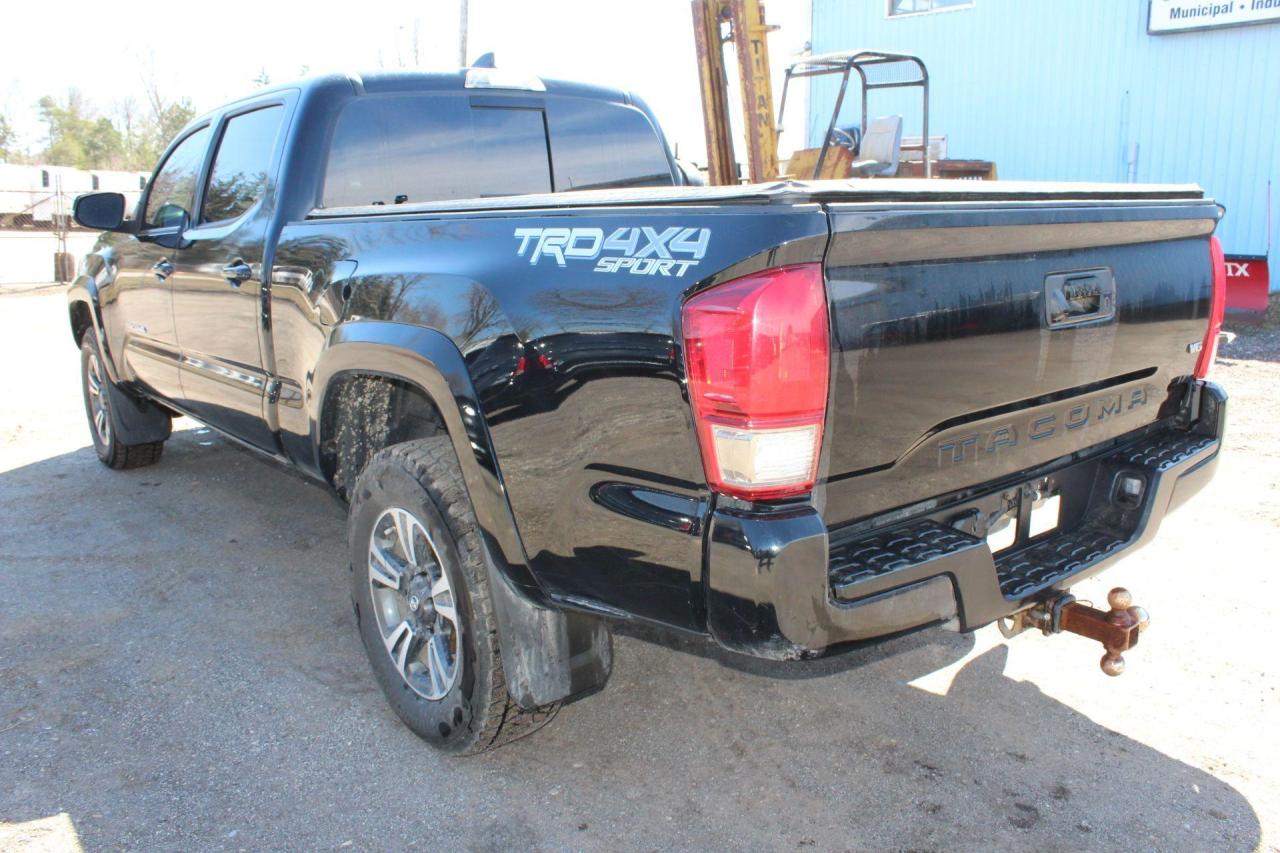 2017 Toyota Tacoma  Photo