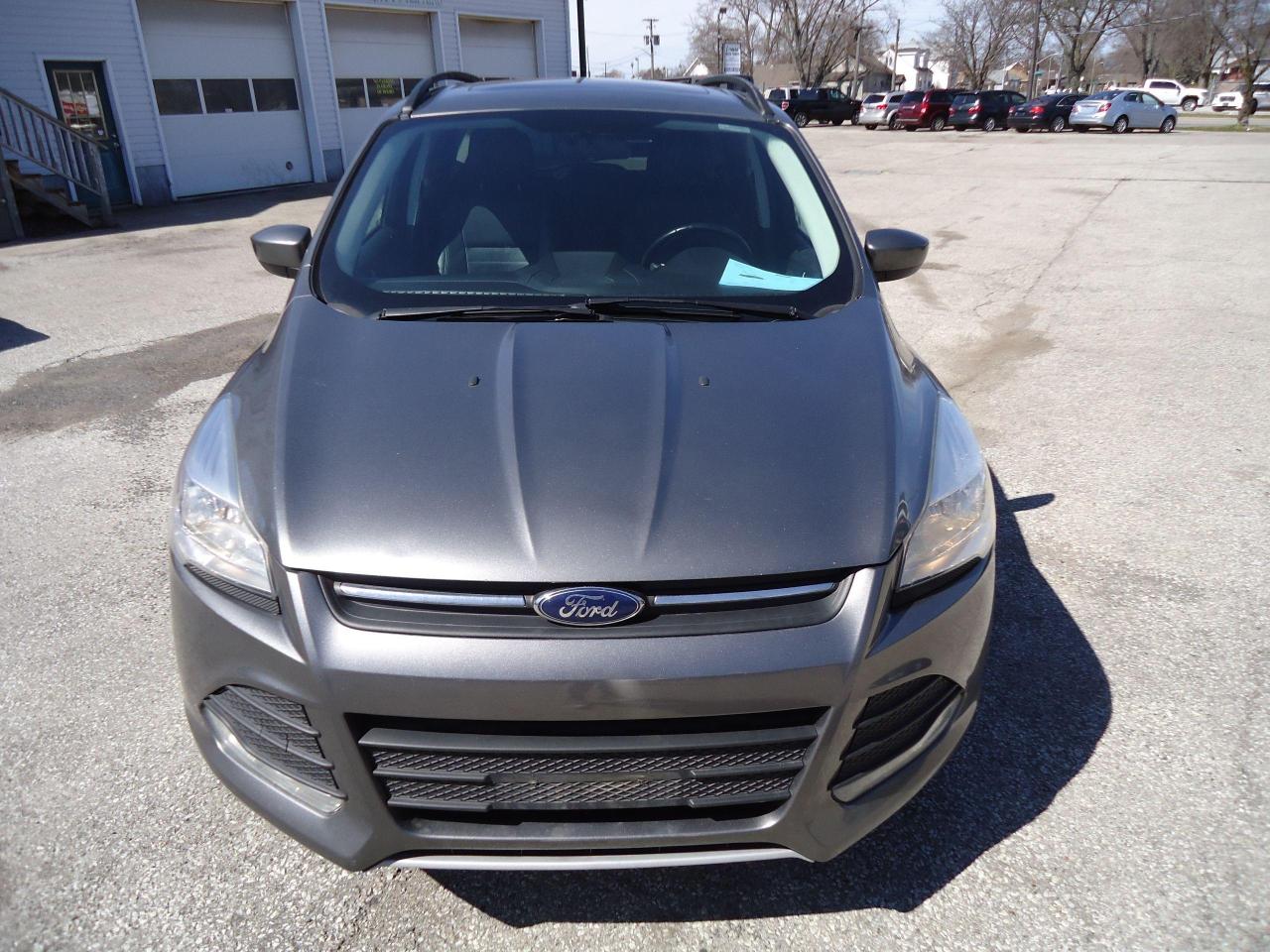 2014 Ford Escape 4WD 4dr SE Photo2
