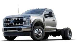 New 2024 Ford F-450 Super Duty DRW XLT for sale in Richibucto, NB