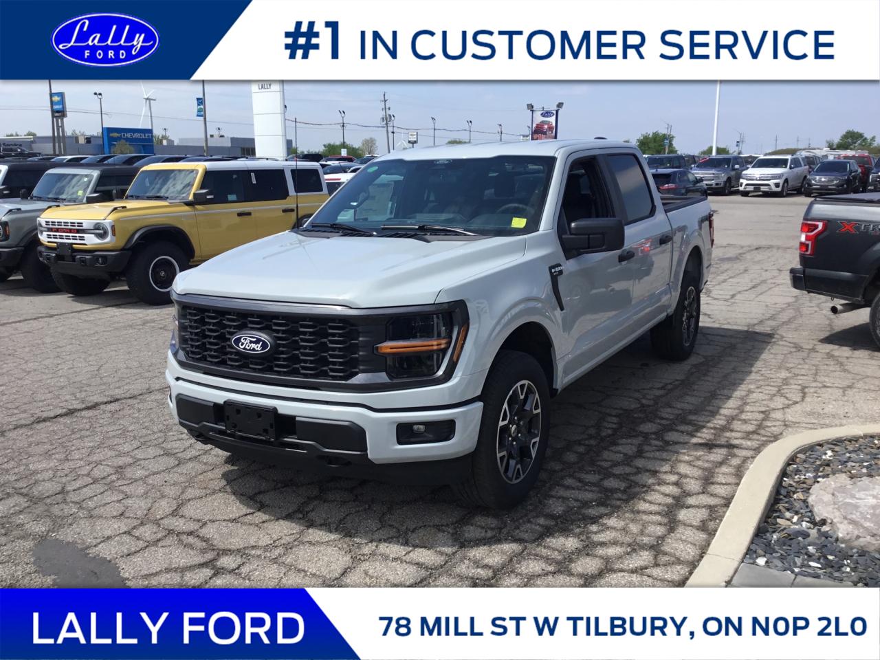 New 2024 Ford F-150 STX for sale in Tilbury, ON