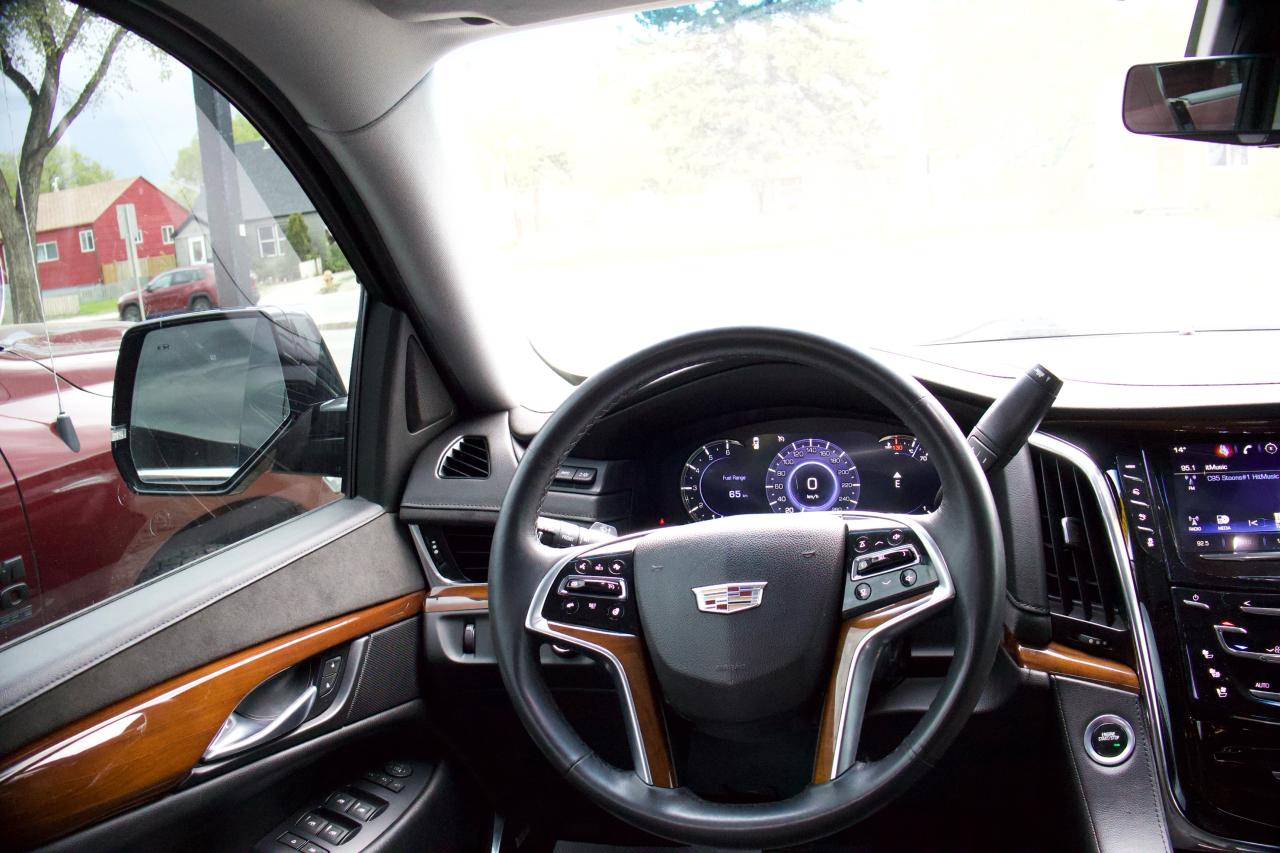 2017 Cadillac Escalade LUXURY - Photo #9