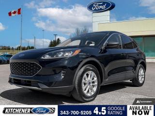 Used 2022 Ford Escape SE Hybrid HEATED SEATS | POWER LIFTGATE | HEATED STEERING WHEEL for sale in Kitchener, ON