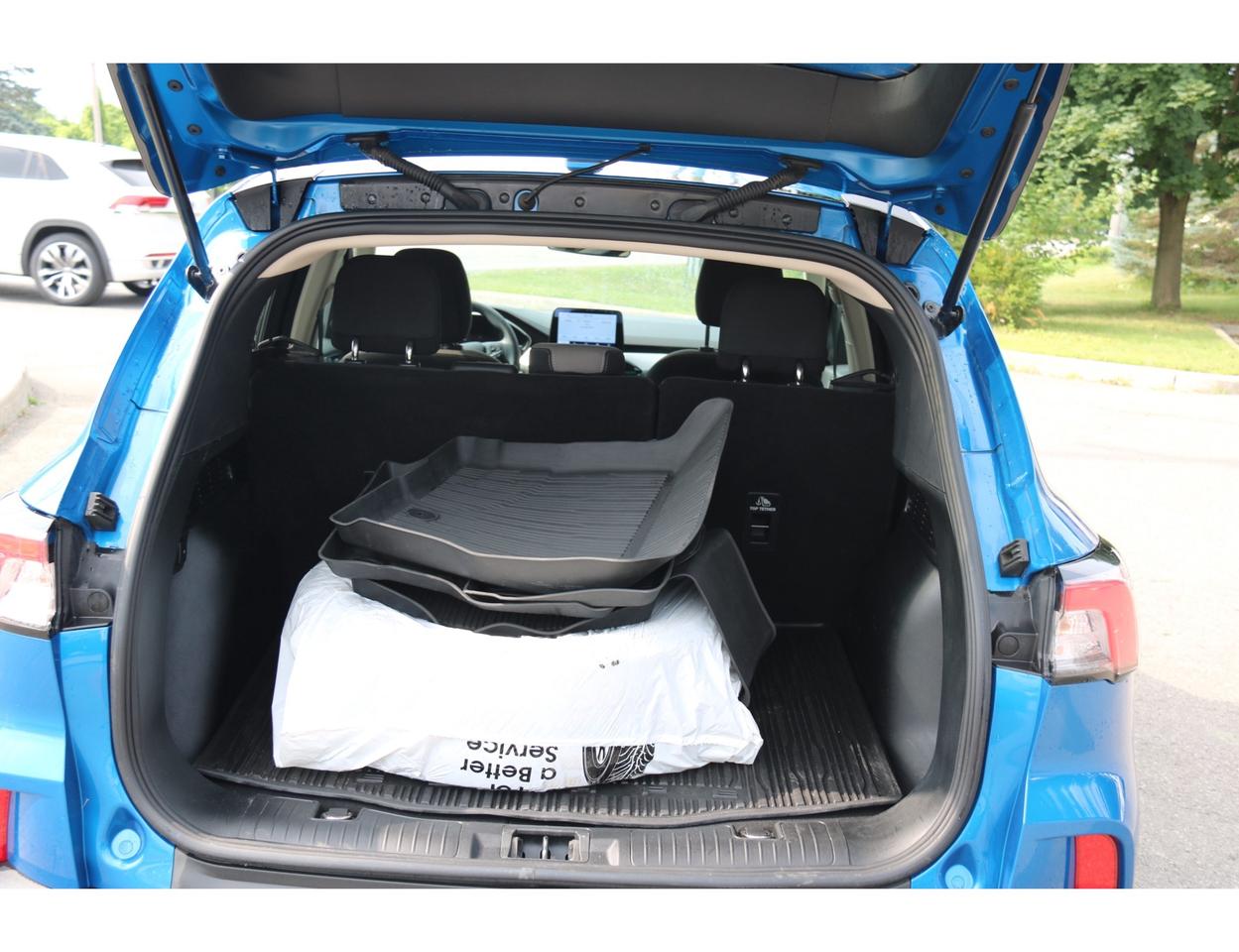 2020 Ford Escape SE AWD Photo