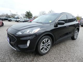 Used 2021 Ford Escape SEL for sale in Essex, ON