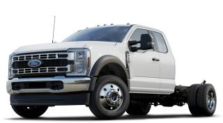 New 2024 Ford F-550 Super Duty DRW XLT for sale in Manning, AB