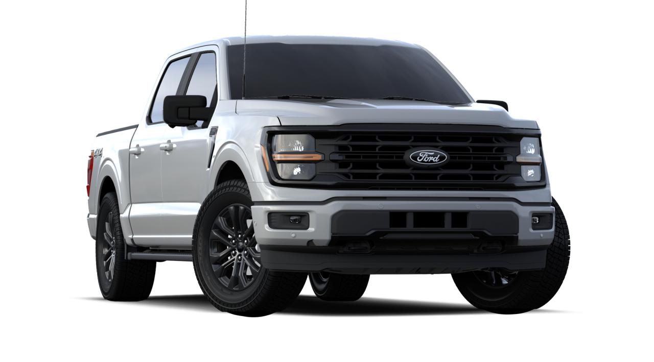 2024 Ford F-150 XLT 4WD SuperCrew 5.5' Box 303A Photo5