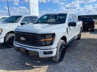 New 2024 Ford F-150 XLT 4WD SuperCrew 5.5' Box 303A for sale in Elie, MB
