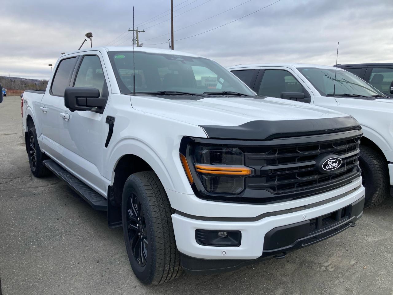 New 2024 Ford F-150 XLT for sale in Woodstock, NB