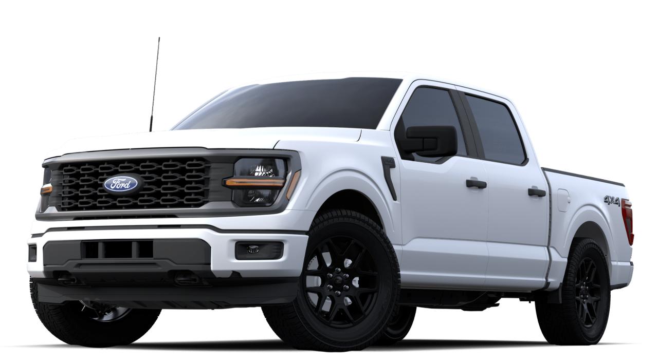 2024 Ford F-150 STX® Photo0